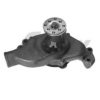 MASSEY FER 1035836M91 Water Pump